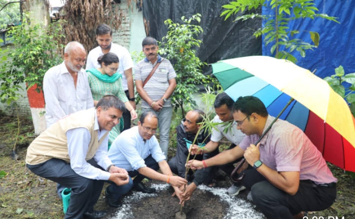 हरिद्वार: अपर जिलाधिकारी(प्रशासन) पी0एल0 शाह ने रविवार को भारत रत्न पण्डित गोविन्द बल्लभ पन्त की 135वीं जयन्ती के अवसर पर जिला प्रशासन, नगर निगम हरिद्वार एवं पहाड़ी महासभा(रजि0) के संयुक्त तत्वावधान में देवपुरा के निकट भारत रत्न पण्डित गोविन्द बल्लभ पार्क में आयोजित भव्य समारोह में उनकी प्रतिमा पर माल्यार्पण कर उन्हें श्रद्धासुमन अर्पित किये।