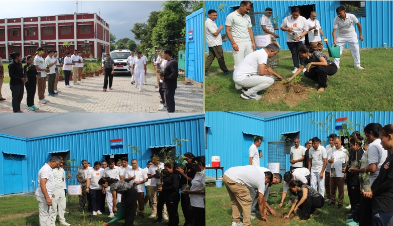 हरेला पर्व पर जीआरपी परिसर में लगाए गए फलदार, छायादार व औषधीय पौधे  प्रकृति प्रेमी IPS तृप्ति भट्ट द्वारा लगाया गया जामुन का पौधा  जोशीले जीआरपी जवानों द्वारा हरेला पर्व को त्योहार के रूप में मनाया गया  300 से अधिक पौधे लगाए गए, पूरे सावन भर चलता रहेगा अभियान