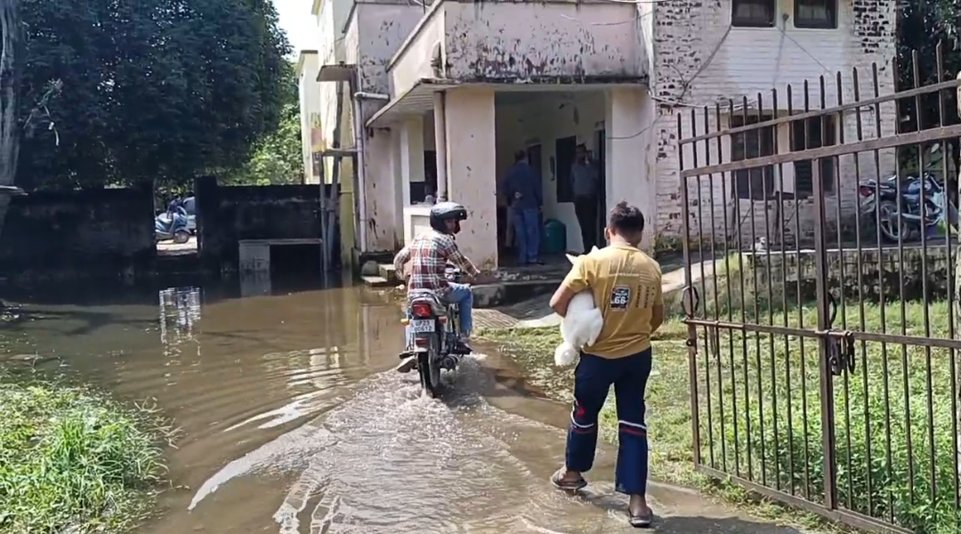 बहादराबाद पशुपालन विभाग में जलभराव होने के कारण से लोगों को हुई परेशानी