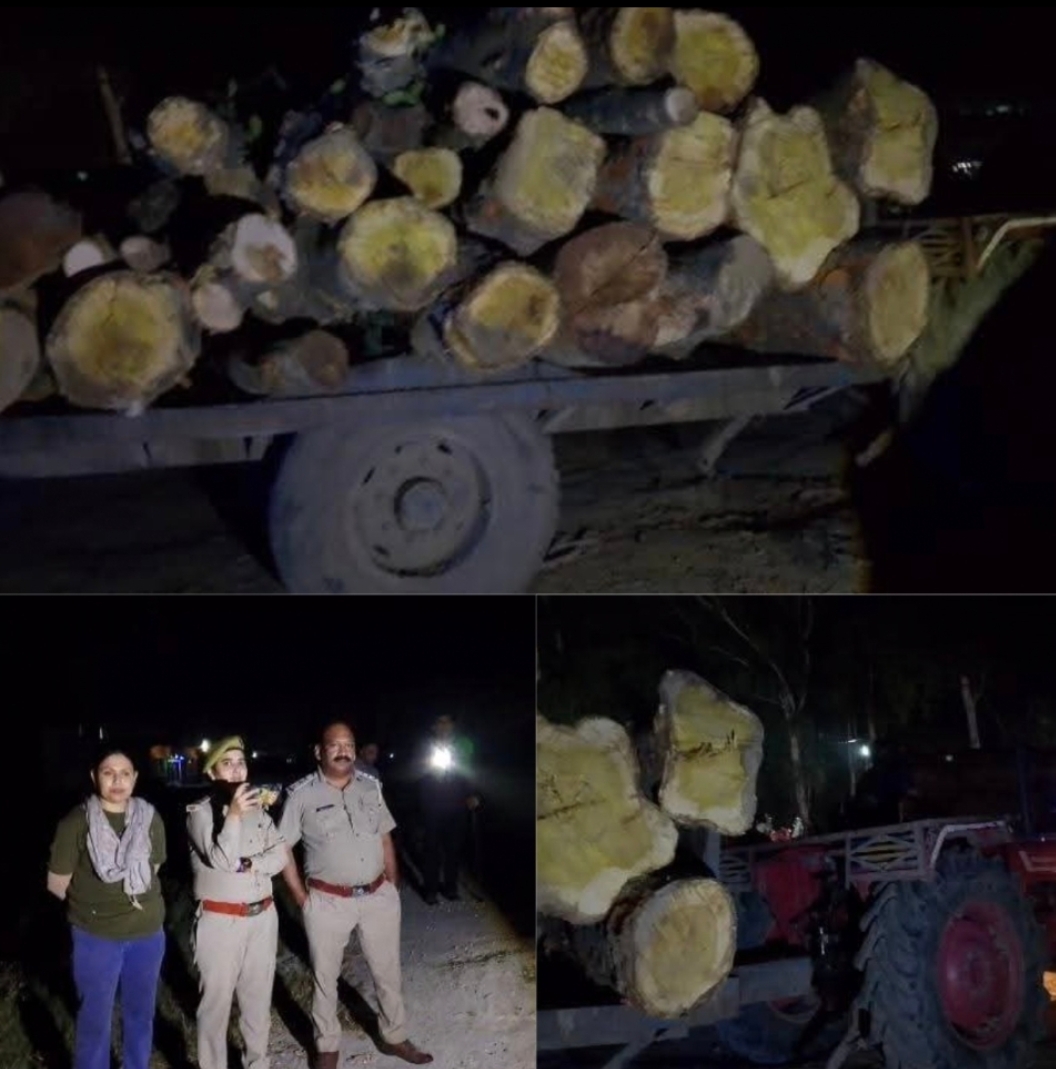 वन विभाग की ताबड़तोड़ कार्यवाही से पूरे वन तस्करो में मचा हड़कंप चोरी से काटे कटहल के पेड़ों के साथ वाहन को किया जप्त वन विभाग ने की बड़ी कार्यवाही।