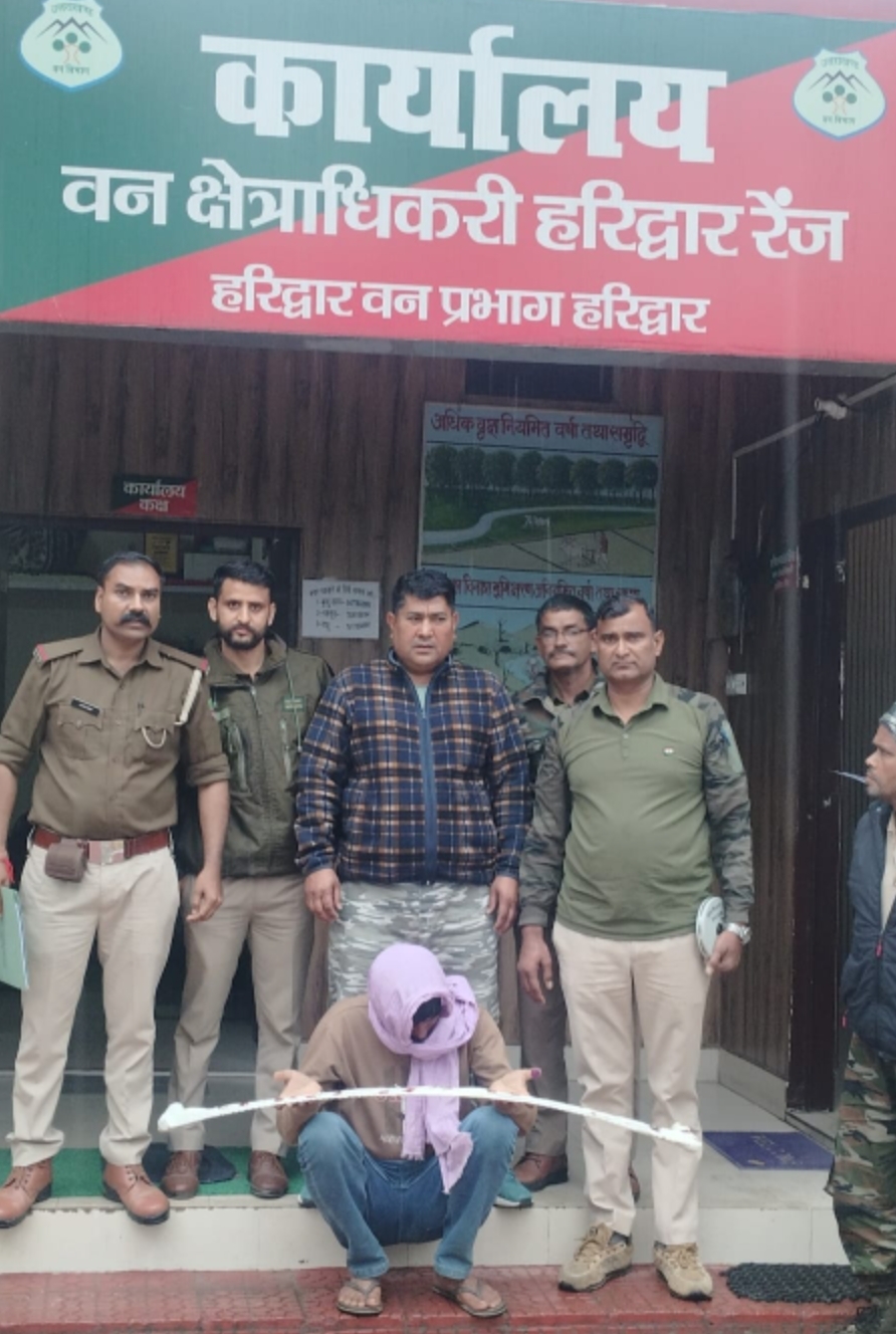 पथरी जंगल से कीमती खैर के पेड़ों को काटने वाले वन तस्करों का वन विभाग ने 4 घंटे में ही किया खुलासा।  एक वन तस्कर आरोपी अभियुक्त को वन विभाग की टीम ने गिरफ्तार कर उसके खिलाफ वन अधिनियम में की कार्यवाही।
