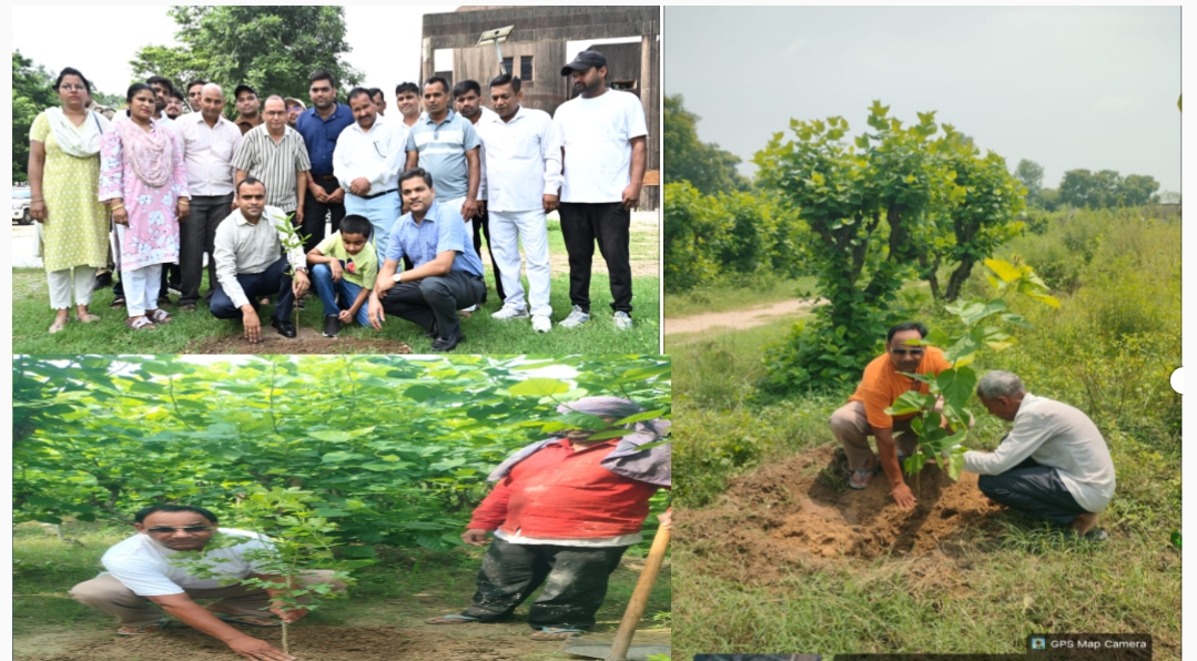 हरेला पर्व पर जिलाधिकारी मयूर दीक्षित ने जिला कार्यालय परिसर रोशनाबाद में फलदार अमरूद का पौधा रोपित किया।  रेशम विभाग द्वारा भी अमरूद व शहतूत का पौधा रोपण किया प्रभारी सहायक निदेशक अधिकारी अर्जुन सिंह,व रेशम विभाग के कर्मचारी उपस्थित।