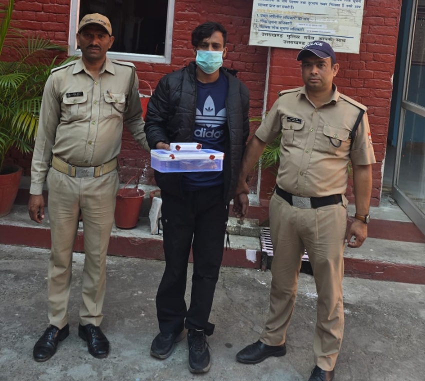 पत्रकार के घर पर हुई चोरी का हरिद्वार पुलिस ने किया खुलासा  घर का ताला तोड़कर अज्ञात चार ने लाखों रुपए की नगदी पर किया था हाथ साफ
